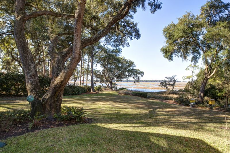 Commercial Site Clearing