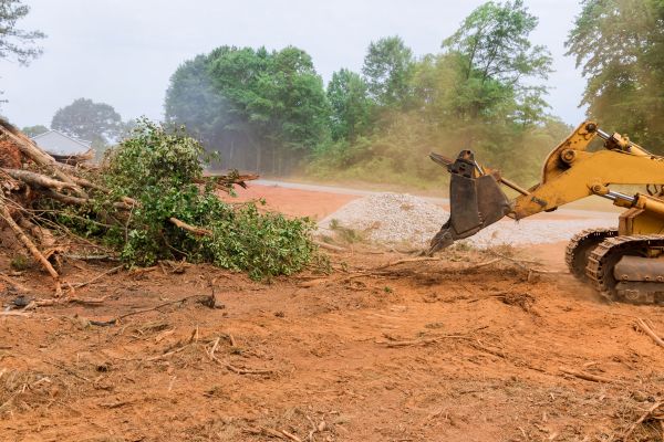 Cost of Forestry Mulching Service in Canton